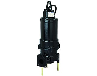 Ebara Pump - DGFU Series