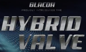 Blacoh Hybrid Pulsation Dampener/Back Pressure Valve