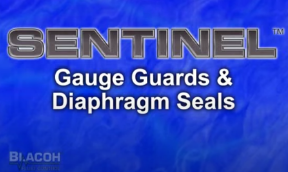 Blacoh SENTINEL Diaphragm Seals and Gauge Guards