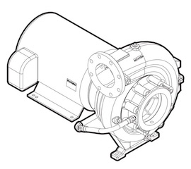 Franklin Electric - 14 Close Coupled I Series Pump