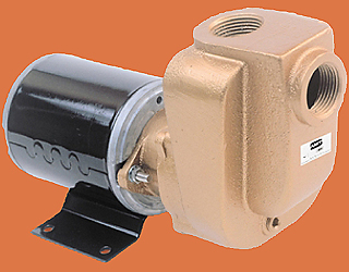 AMT - Self-Priming Bronze Pump