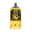 LMI - AD251-938SI (AD Pump Series)
